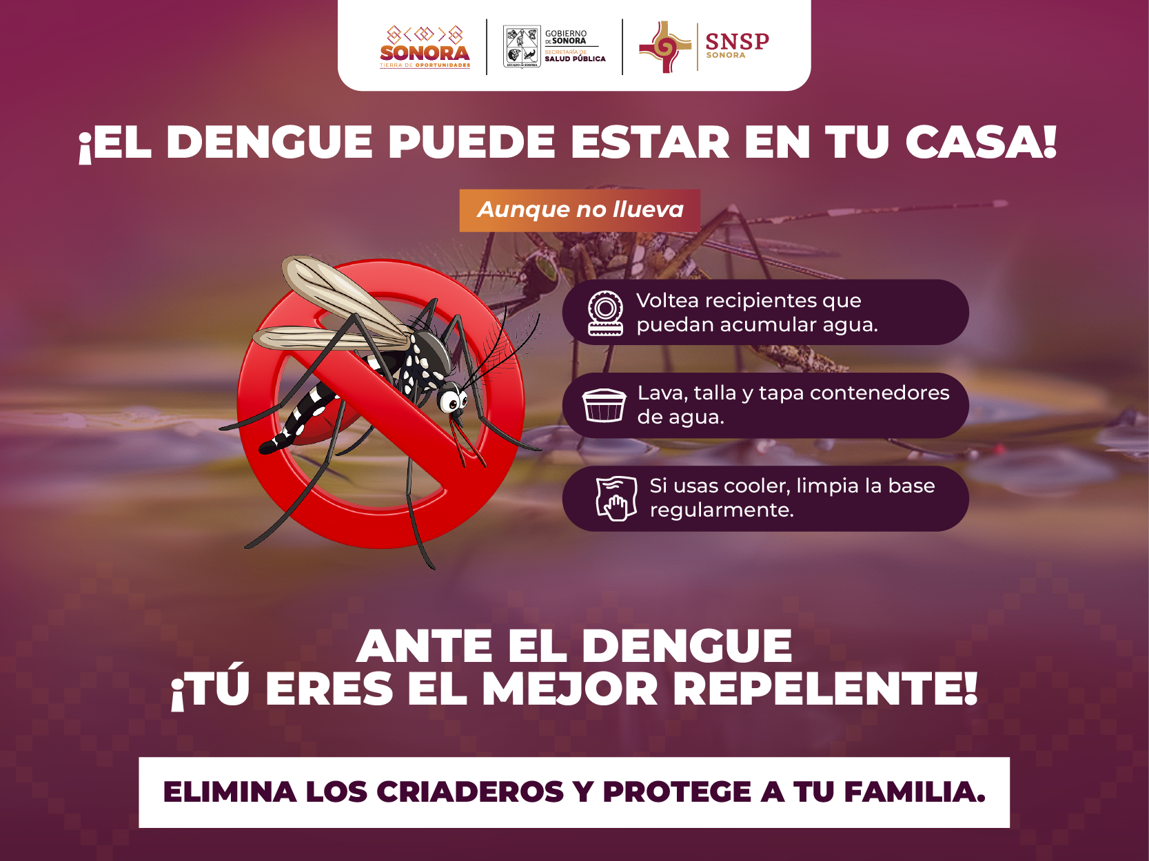 dengue