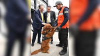 ¡Lomitos tecnológicos! UNAM recibe a dos perritos para fortalecer la seguridad y enseñanza