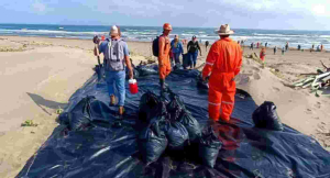 Derrame en el Golfo de M&eacute;xico: recolectan 894 toneladas de hidrocarburo y limpian 32 playas