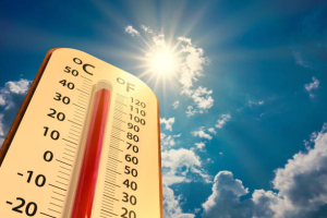 Van 11 muertes por golpe de calor en Sonora